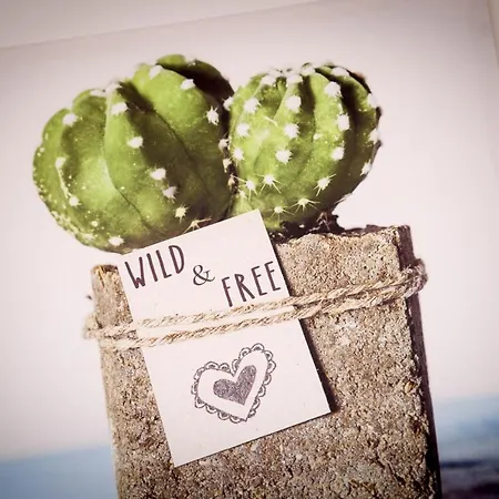 아파트 Mama 비쉘리에